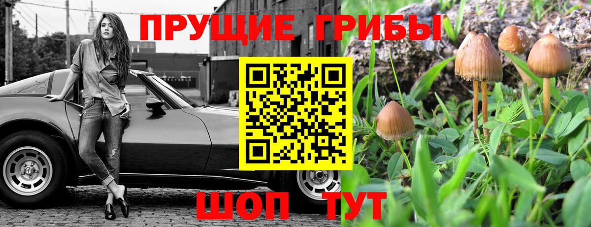 Галлюциногенные грибы MAGIC MUSHROOMS Гусь-Хрустальный